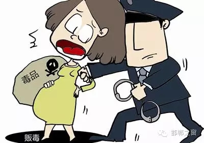 2016年初，涉縣警方查獲一起涉毒案件，鑒于該案涉案人員多、毒品交易量大，涉縣警方立即將案情上報，被公安部確立為“目標(biāo)-2016-314”號毒品案件。涉縣警方成立專案組，經(jīng)過多方追查，先后抓獲團(tuán)伙人員13名，繳獲毒品5349克，并查明上線“濮姐”的真實身份為陳某。